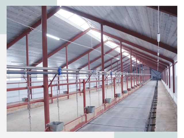 Строительство коровников в Якутске от 625 руб.